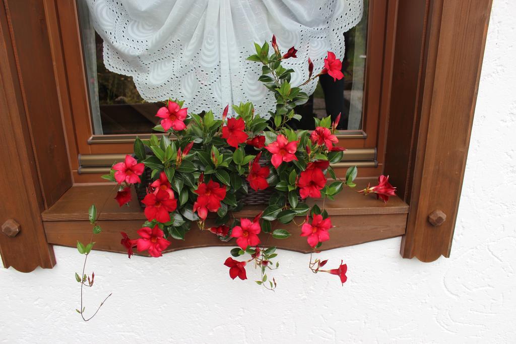 Haus Almrausch Hotell Seefeld in Tirol Rom bilde